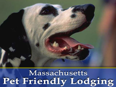 Dog Friendly Inns In The Berkshires Dog Friendly Inns In The Berkshires