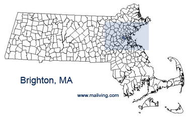 Brighton, MA Map