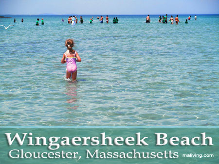 Massachusetts Beaches - Wingaersheek Beach