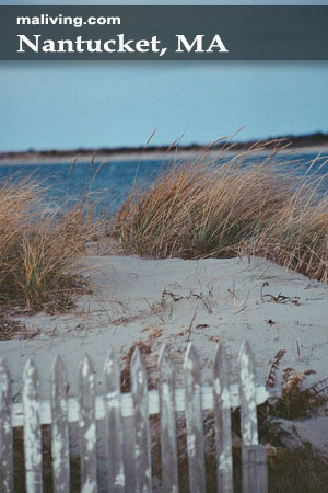 Chatham, MA Beach- Photo by Tim Grafft/MOTT 