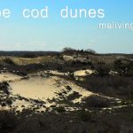 The salty ocean air and miles of sand dunes are unique to Cape Cod.
