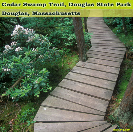 Massachusetts State Parks - Douglas State Park, Cedar Swamp Trail