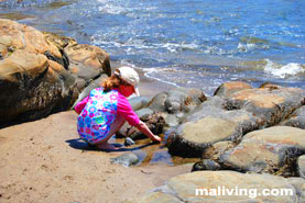 Massachusetts Beaches Massachusetts Beaches