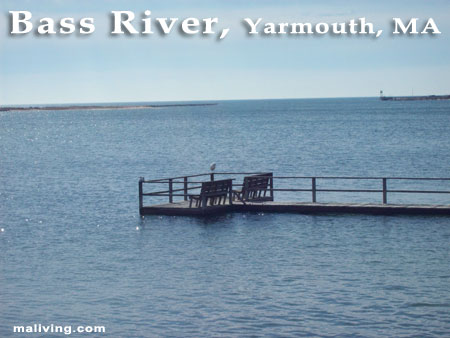 Bass River, Yarmouth, MA - Photo by C. Ladd