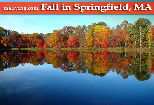 Fall in Springfield, MA - Photo by S. Tidlund
