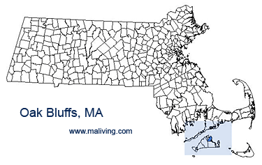 Oak Bluffs, MA Map