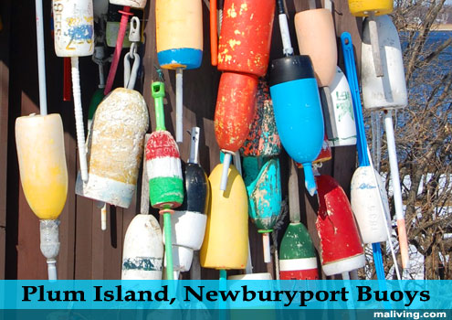 Massachusets - North of Boston - Plum Island, Newburyport Buoys