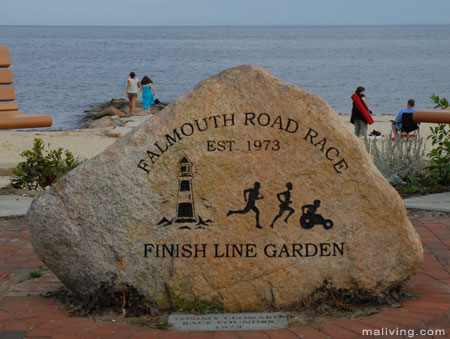 Falmouth, MA Road Race Finish Line Garden Falmouth, MA Road Race Finish Line Garden