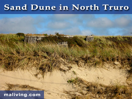 Sand Dune in Truro, MA