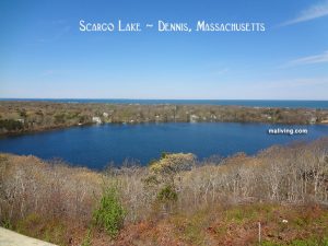 Scargo Lake, Dennis Cape Cod MA