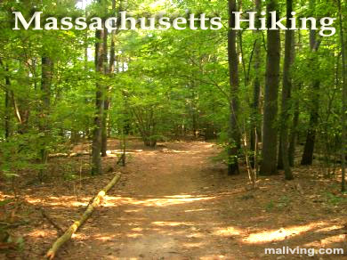 Massachusetts Hikes, Nature Walks and Trails