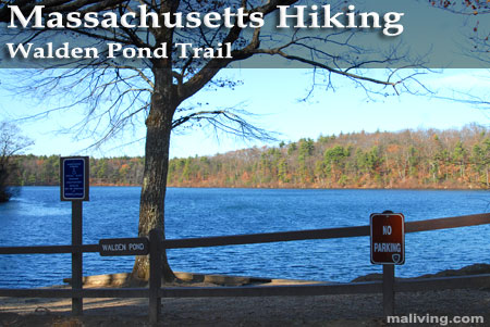 Massachusetts Hiking - Walden Pond Trail