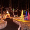 Bridgewater Festival of Lights