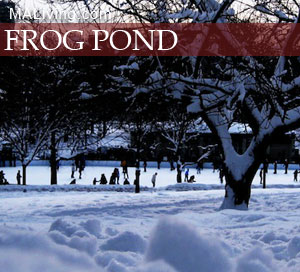 Boston Common Frog Pond