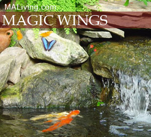 Magic Wings Butterfly Conservatory Berkshire MA Deerfield MA attraction