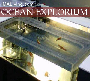 Ocean Explorium New Bedford Mass