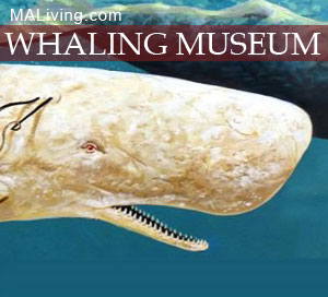 New Bedford Whaling Museum