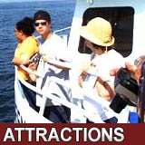 MA Attractions
